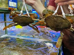 -友强·23年特色海鲜大排档(厦门店)