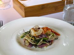 -蝶舍·MAISON PAPILLON