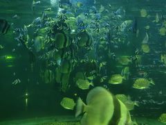 -铭副琦食·虾蟹烩馆(渔人码头店)