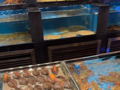 -百富源·海鲜辽菜(和平北大街店)