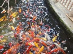 -世界地热博览园