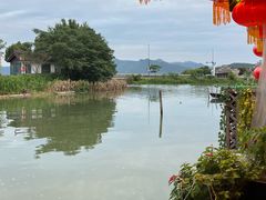 -晓琦农家菜馆·地道农家菜