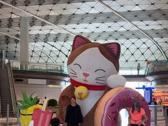 -香港国际机场
