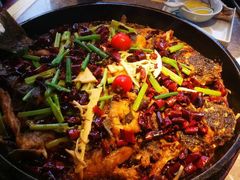 -老板恋上鱼(恒隆广场店)