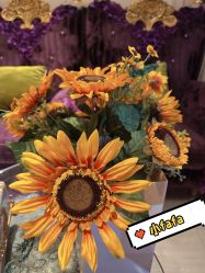 -伊芙世家美颜美养SPA