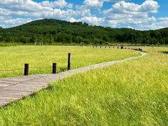 -塞罕坝国家级自然保护区