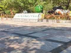 -广东茂名森林公园