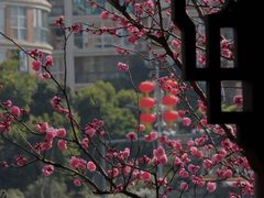 -望江楼公园