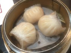 -糖朝(尖沙咀店)