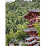 宁波｜其实日本古建筑是假装在大唐