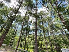 -白草畔自然风景区