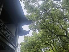 -上海醉白池公园