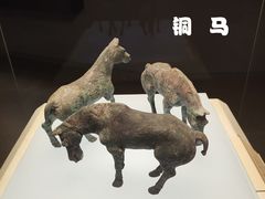 -河北博物院