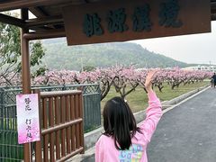 -桃花岛景观公园