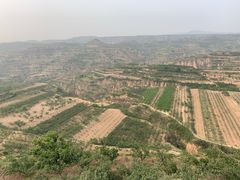 -西侯度遗址