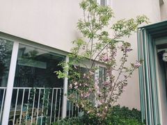 -柠檬国际幼儿园 Bright Academy