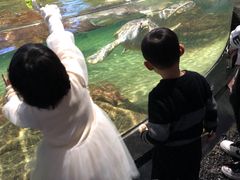 -江和美海洋公园