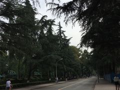 -四川大学(华西校区)