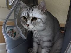 -瑞派宠物医院·24h·骨外科·皮肤科·全科宠物医疗转诊中心(沈阳浑南院)