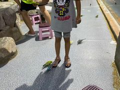 -秦皇岛新澳海底世界