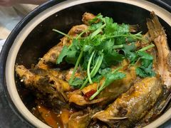 -小杨酒家(华苑小区店)