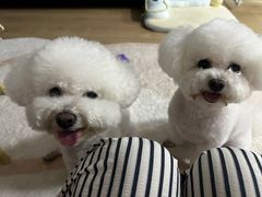 -沐沐家宠物(成寿寺店)