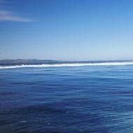 -薇兰专业脱毛连锁机构