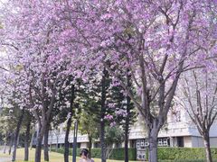 -人民公园(罗湖区)