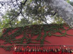 -潭柘寺景区
