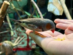 -Zoolung Zoolung动物主题公园(海信广场店)