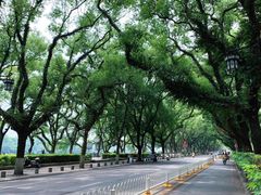-桂林两江四湖景区