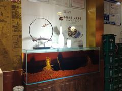 -鲜鲜·鲅鱼圈海鲜(于洪店)