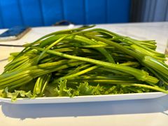 -爱膳菌锅锅(阳南店)