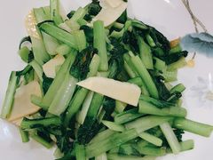 塔采青笋-新开元大酒店(定慧寺店)