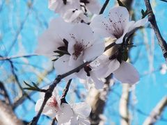 -三里河公园