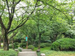 -中国茶叶博物馆(双峰馆区)