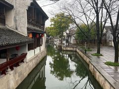 -鲁镇