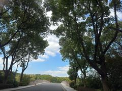 -昆山城市生态森林公园