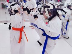 -极真空手道修远道场