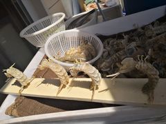 -三个渔夫·蒸汽海鲜(小白楼店)