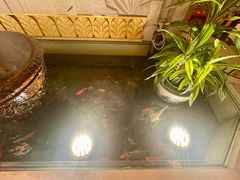 -国际饭店·原点咖啡吧ORIGIN CAFE&BAR