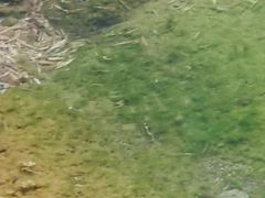 -华蓥山天意谷景区