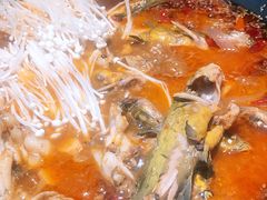 黄辣丁鲜鱼锅-小小河边鱼(天润城店)