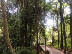 -凤栖山