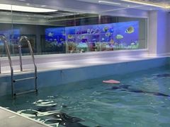 -水贝乐国际水育儿童游泳中心(新业广场店)