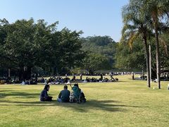-深圳仙湖植物园