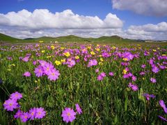 -塞罕坝国家级自然保护区