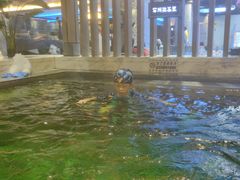 -青水瓦台汤泉(未央店)