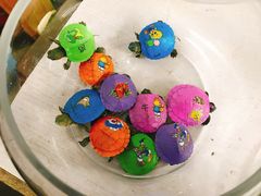 -万商花鸟市场