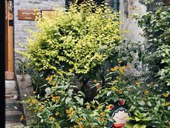 -创艺无限·赵春香微妙艺术馆